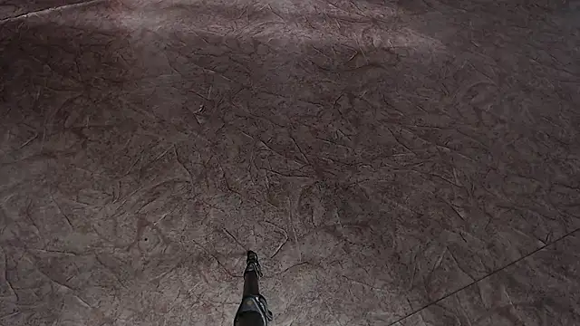 Show webcam de evaa_here_