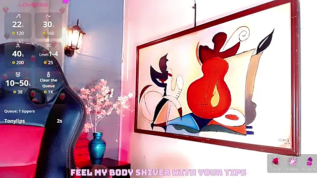 venus_exe 网络视讯表演