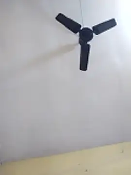 Anki-doll Chat XXX live