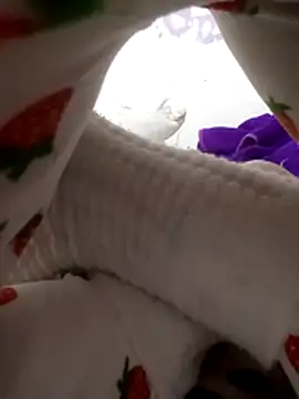 Bombamom 现场XXX聊天