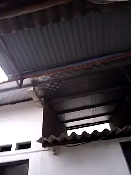 Show de webcam de Hotestlove