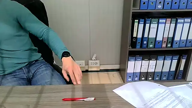 Evasioneen Webbikameraesitys