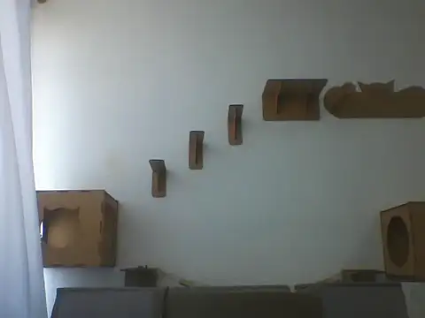 Temp7 élő XXX-chatje