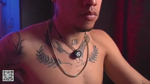 AlphaMasterXxx: διαδικτυακό σόου στην κάμερα