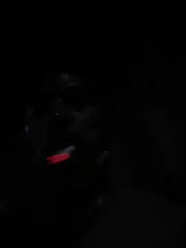 Gopolo123 Chat XXX live