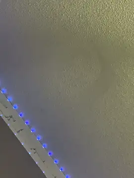 Triggerhappycj100 Live XXX-Chat