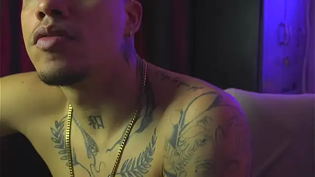 AlphaMasterXxxn Webbikameraesitys