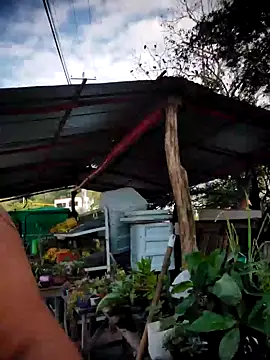 Brenda_Berck_ লাইভ XXX চ্যাট