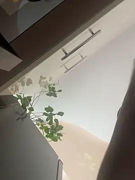 Chatroom XXX en direct de Flossy_Vettie