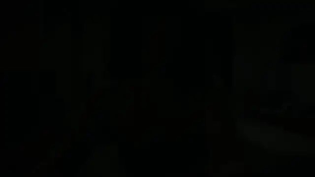 Princess_Shimmie Chat XXX live