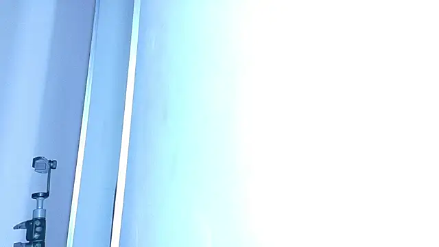 Show webcam de ALANNFERRER