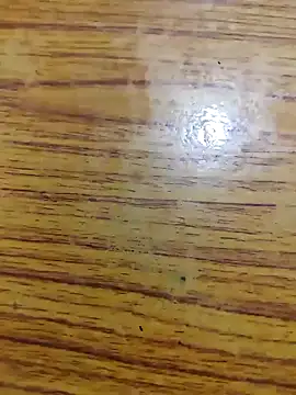 67sanju 网络视讯表演