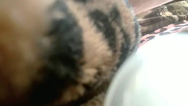 rockhead1971's Webcam Show