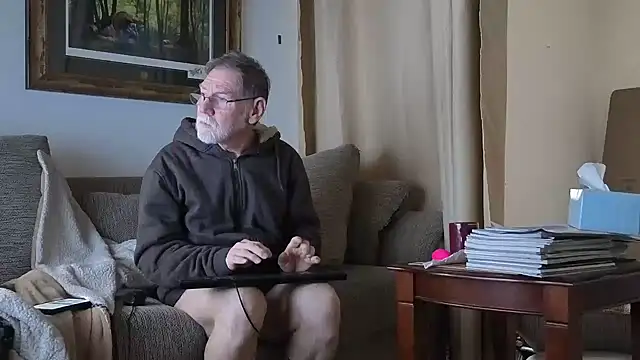 Pertunjukan Kamera Web CDforU