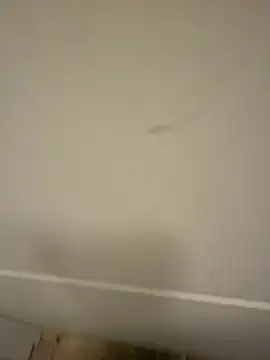 dickforyouuuu – Kamerová šou