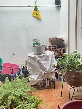 camile_milf 即時 XXX 聊天