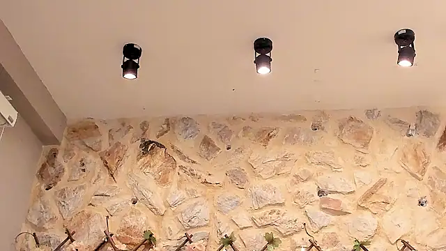 Sembang XXX Secara Langsung VenusBlazer