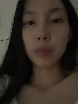 DD-5200のウェブカメラショー