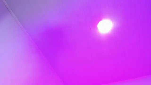 SagiraBelle 라이브 XXX 채팅