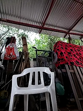 Вебкам-шоу Brenda_Berck_