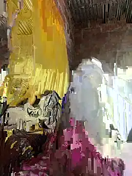 lady_and_charly élő XXX-chatje