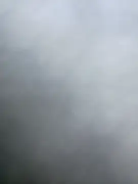 Vergadura590 Pertunjukan Webcam