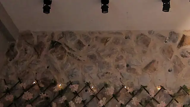 VenusBlazer: онлайн-секс-чат