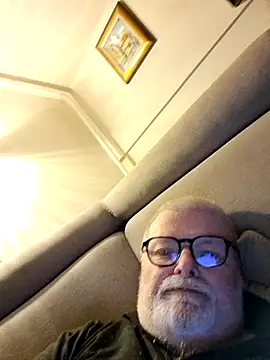 petvarad 网络视讯表演