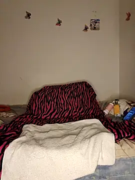 Show Webcam de mamilola