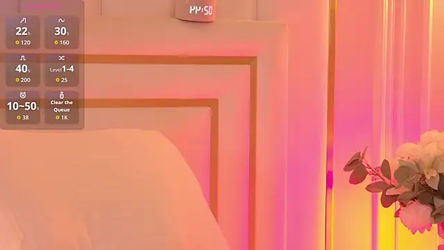 NancySmitts Show Webcam