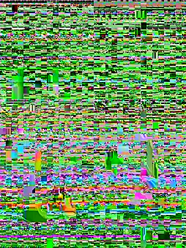 Show webcam de ninaht