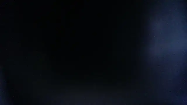 MrWilliseo Adlı Modelin Canlı XXX Sohbeti