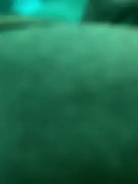 Swift2006 Adlı Modelin Canlı XXX Sohbeti