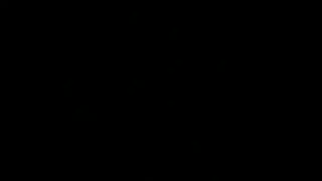 Pertunjukan Kamera Web SoyOceanne