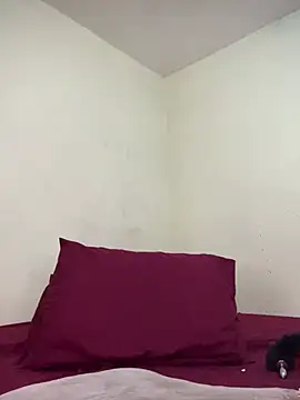 arabayla webcam show