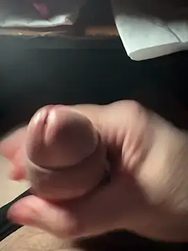 Pertunjukan Kamera Web yesoui