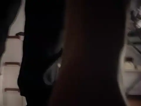 Show modela Wuza-H na web-kameri