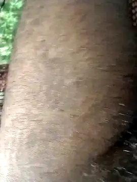 jellydicks – Live XXX-chat