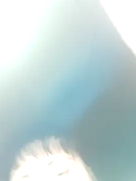 Apelsinkaa live XXX chat