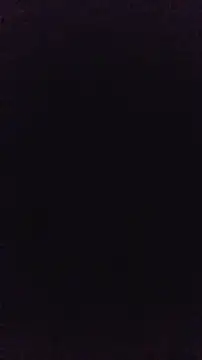 VersGuy7 现场XXX聊天