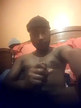 RearApiary Show Webcam