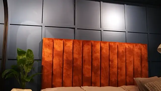 Tayler_Kim élő XXX-chatje