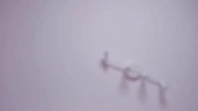 aIexsunshine 网络视讯表演