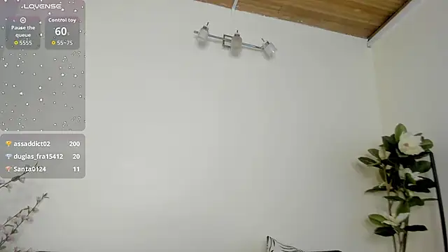 Show de artemis_nyx na webcam