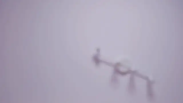 aIexsunshine 现场XXX聊天