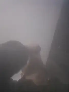 دردشة Antras92 الجنسية المباشرة