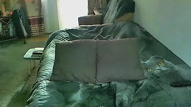 sex2: απευθείας συνομιλία ΧΧΧ