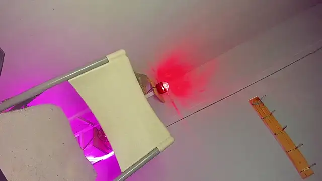 anitacruise Show in webcam