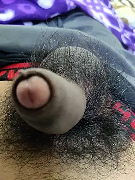 Chat XXX Live _Stripchat_Owner_