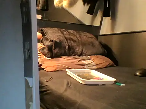 slutviki's Live XXX Chat